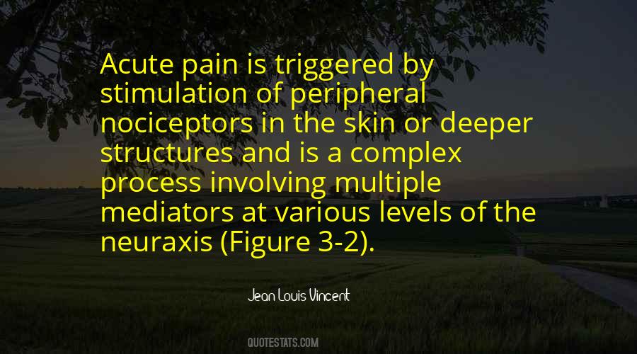 Acute Pain Quotes #1006054
