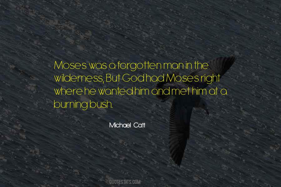 In The Wilderness Quotes #376500