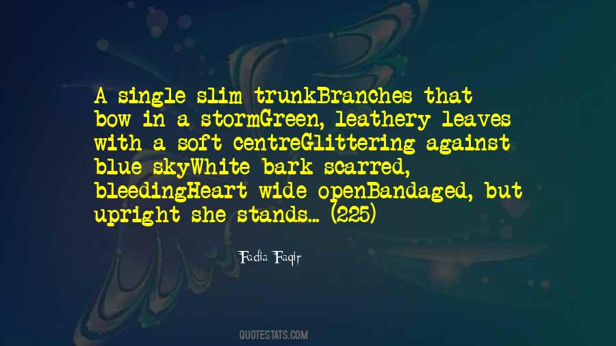 Faqir Quotes #1467683