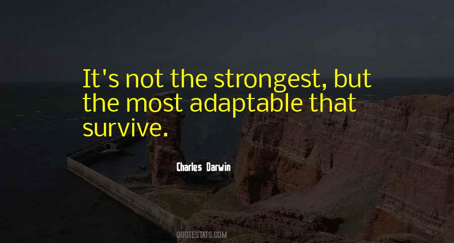 Adaptable Quotes #912411