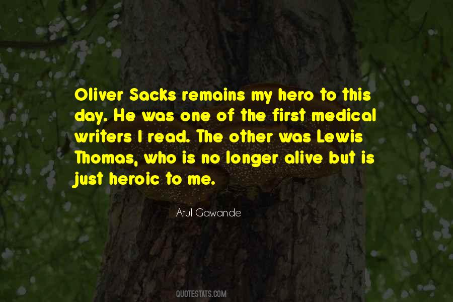 My Hero Quotes #1142102