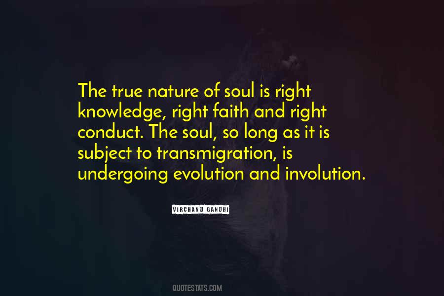 The Nature Of Soul Quotes #148923