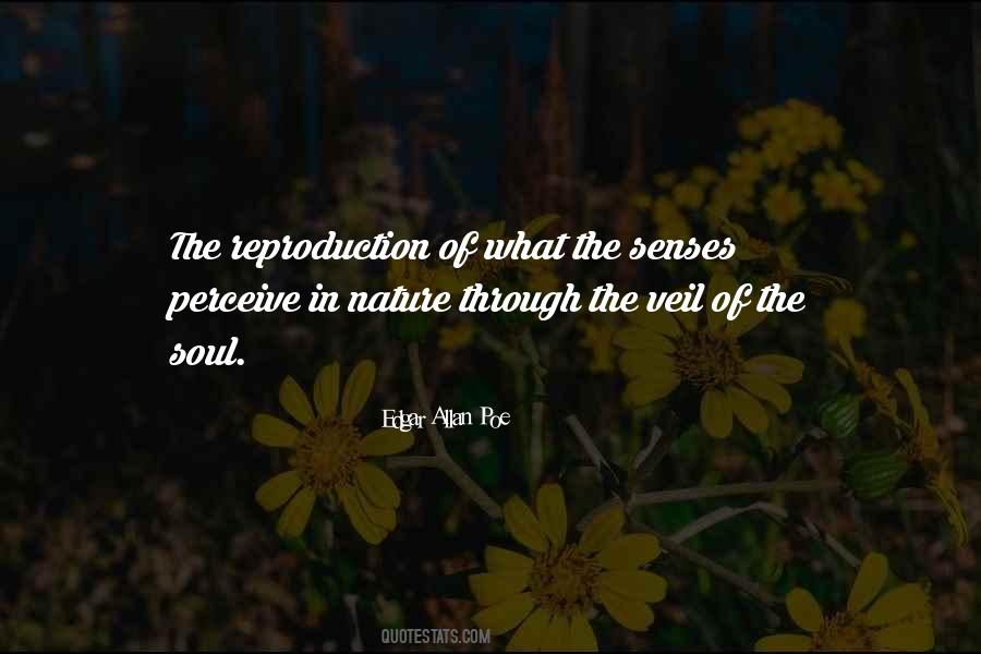 The Nature Of Soul Quotes #335640