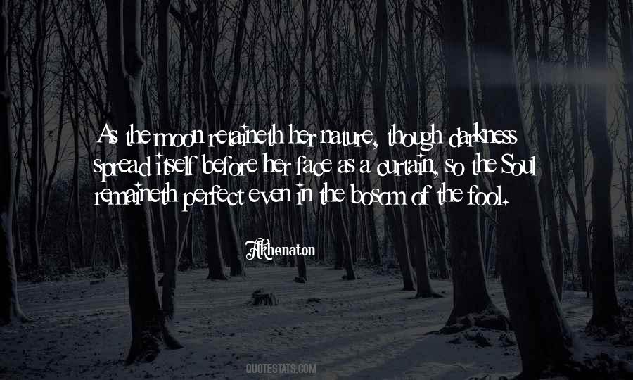 The Nature Of Soul Quotes #367494