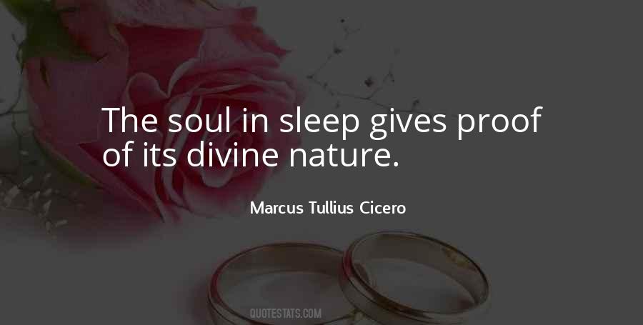 The Nature Of Soul Quotes #519652