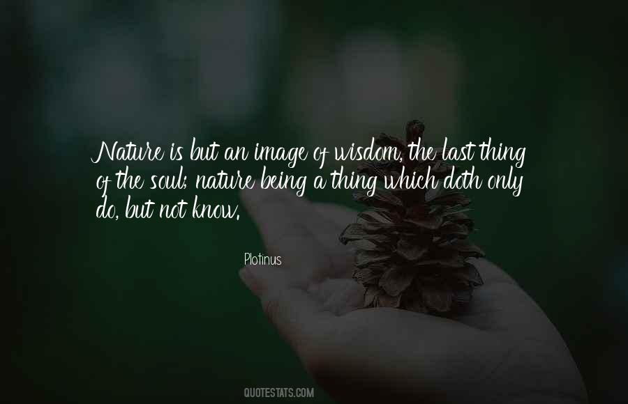 The Nature Of Soul Quotes #636622