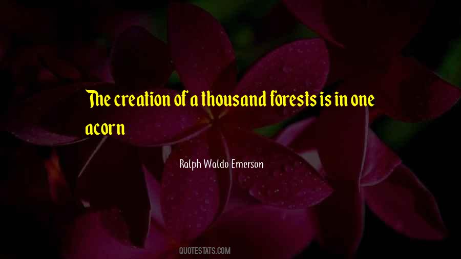 Forests The Quotes #17599