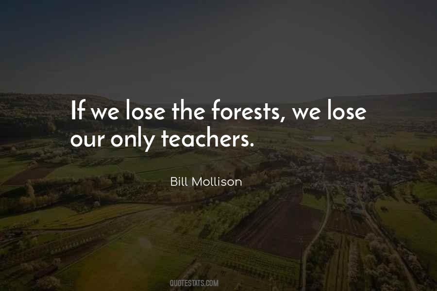 Forests The Quotes #196322