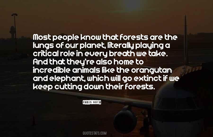 Forests The Quotes #248358