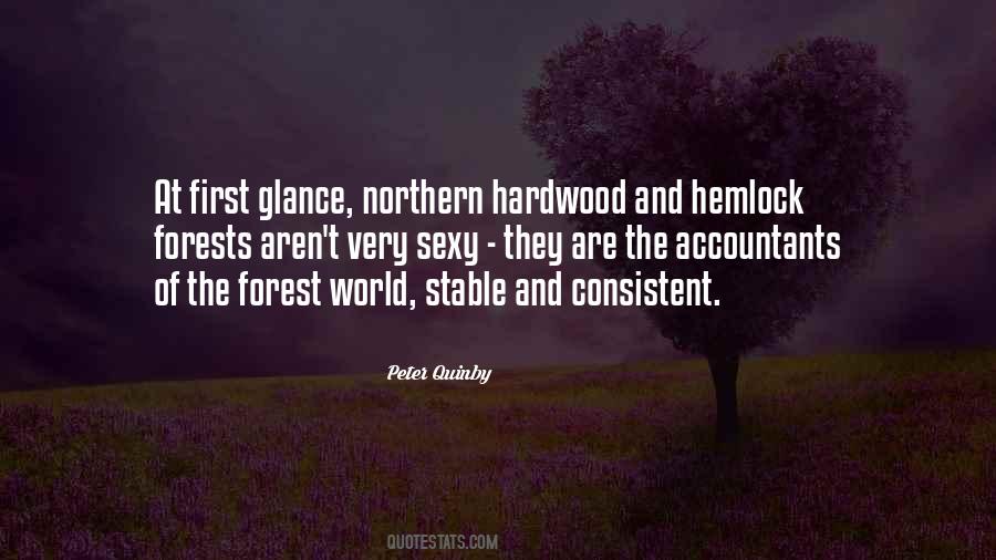 Forests The Quotes #55740