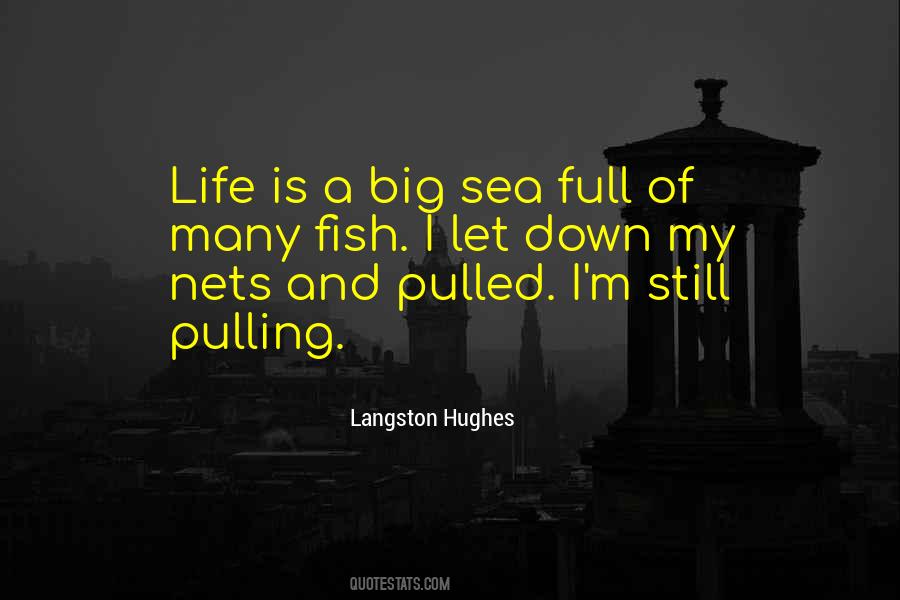 Timucuan Indians Quotes #1426240