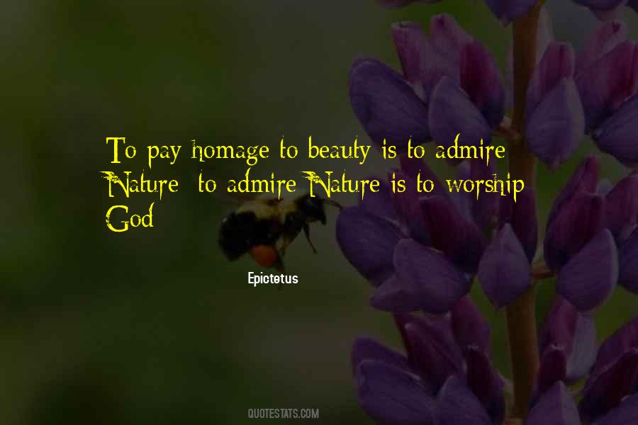 Admire Beauty Quotes #1003043