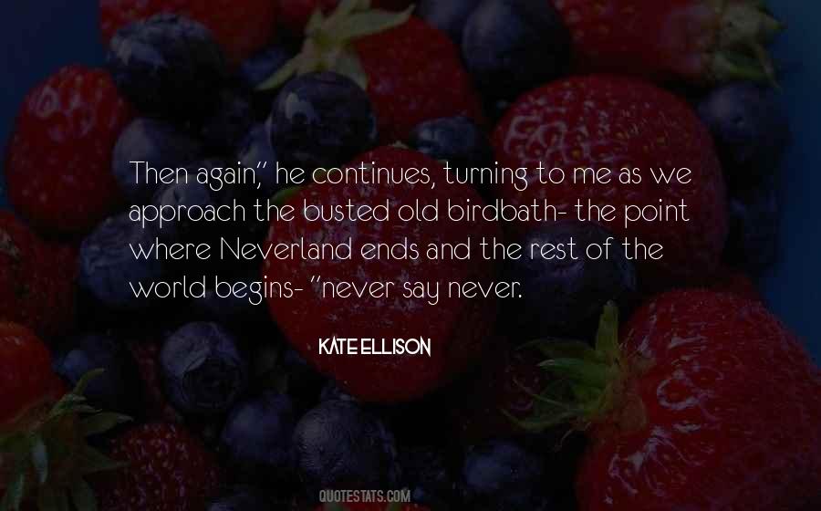 Quotes About Never Neverland #1876712