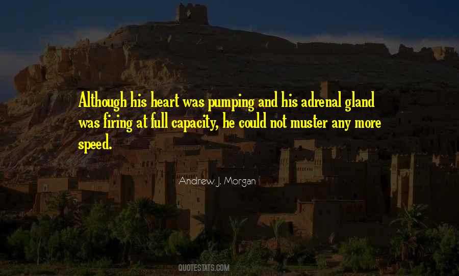 Adrenal Gland Quotes #423064