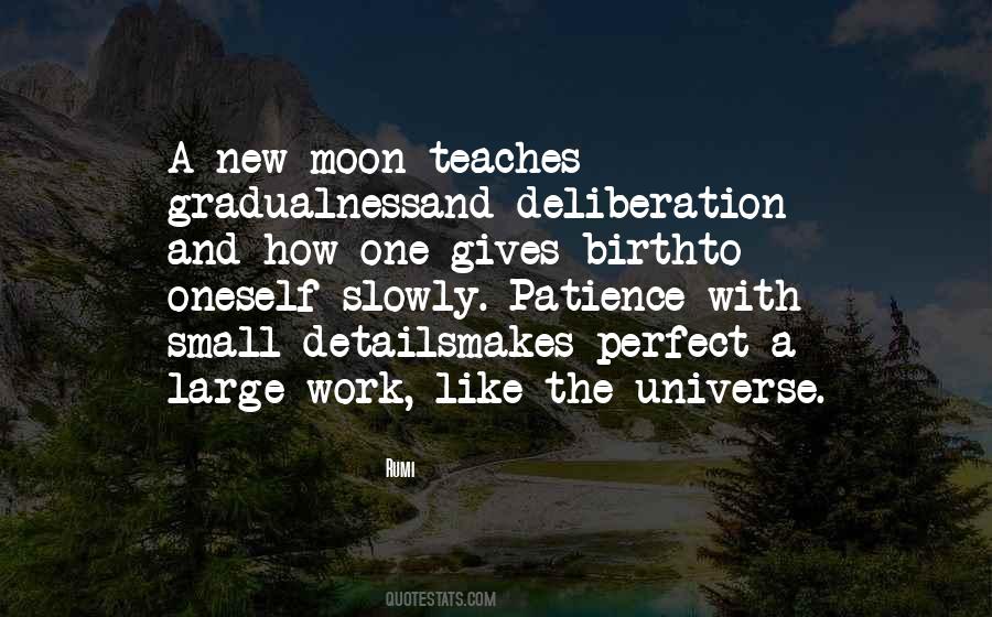Universe Rumi Quotes #1497828