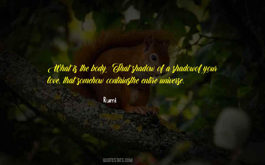 Universe Rumi Quotes #33361