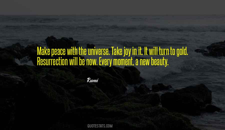 Universe Rumi Quotes #567969