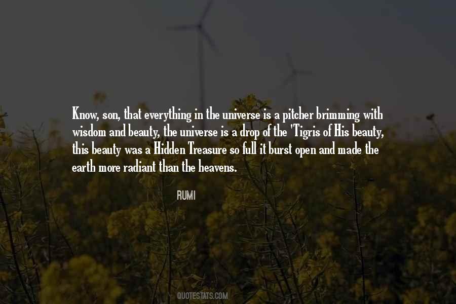 Universe Rumi Quotes #812512