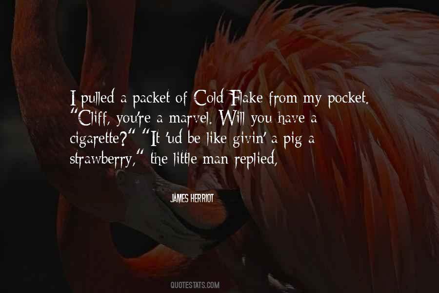 I Like You A Little Quotes #28426