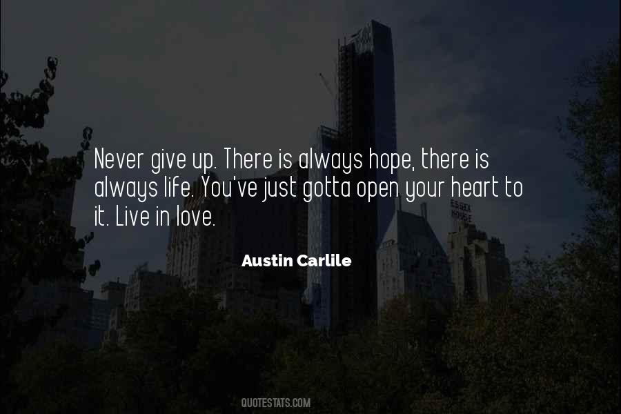 Quotes About Never Give Up In Life #1009969