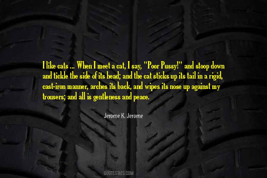 Stoop Down Quotes #1719630