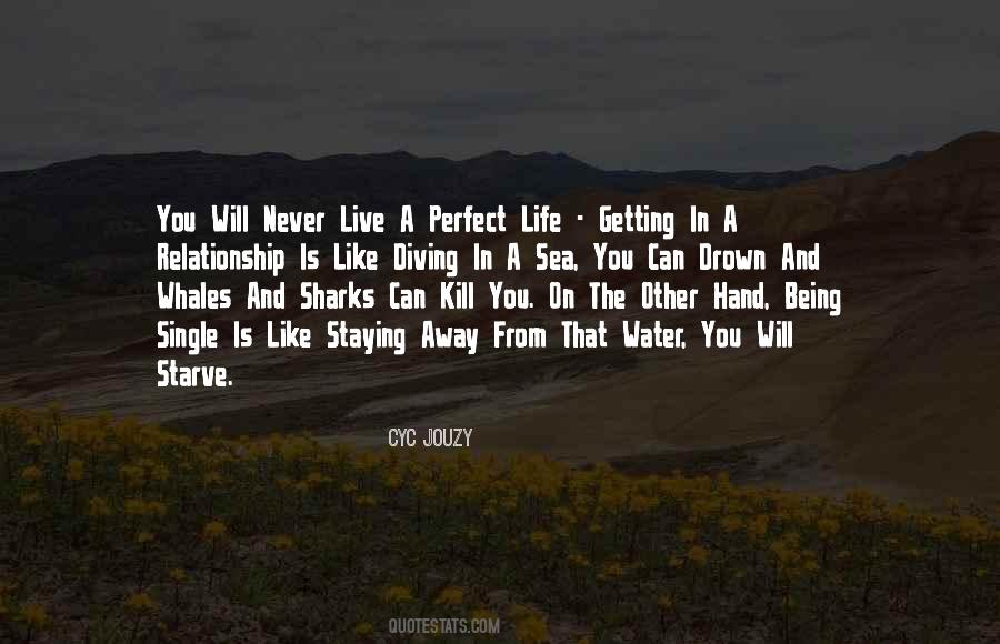 Quotes About Never Being Perfect #1433716