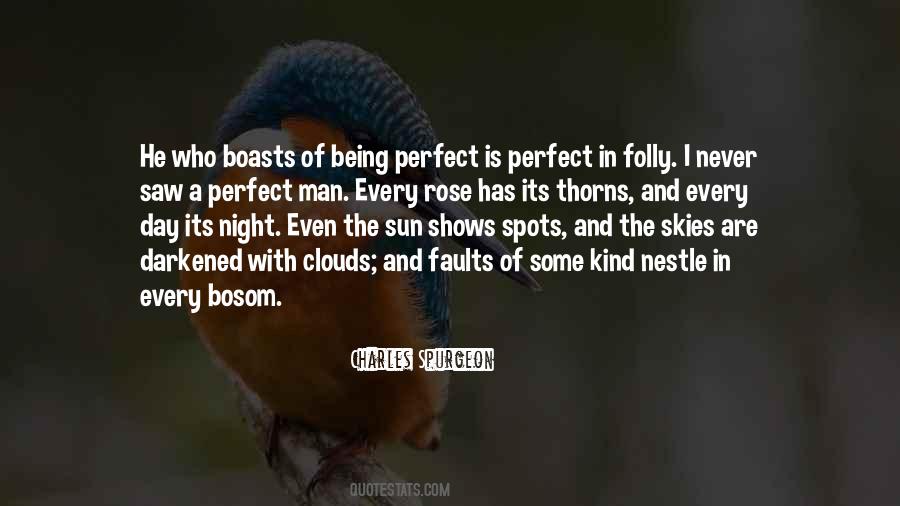Quotes About Never Being Perfect #1534774