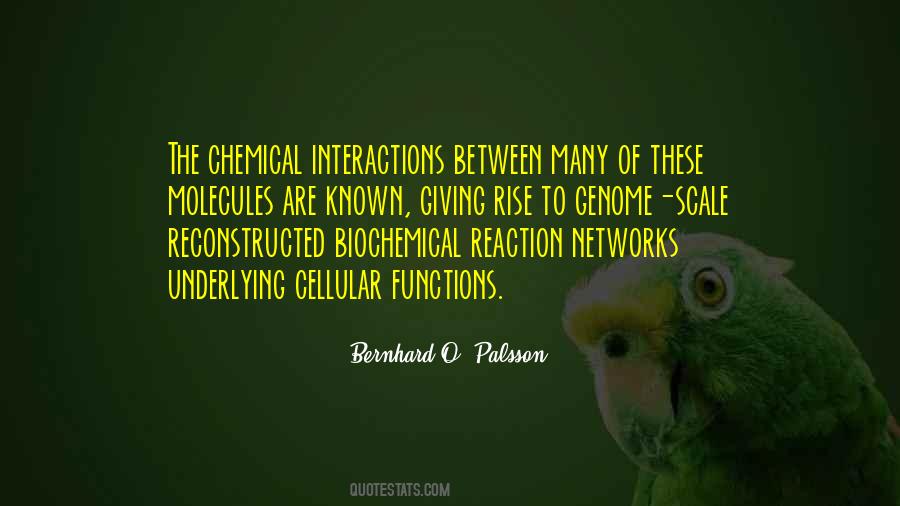 Quotes About Networks #949139