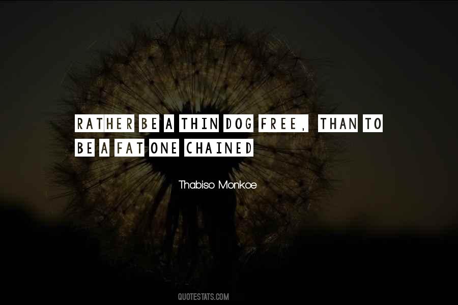 Afroman Quotes #961308