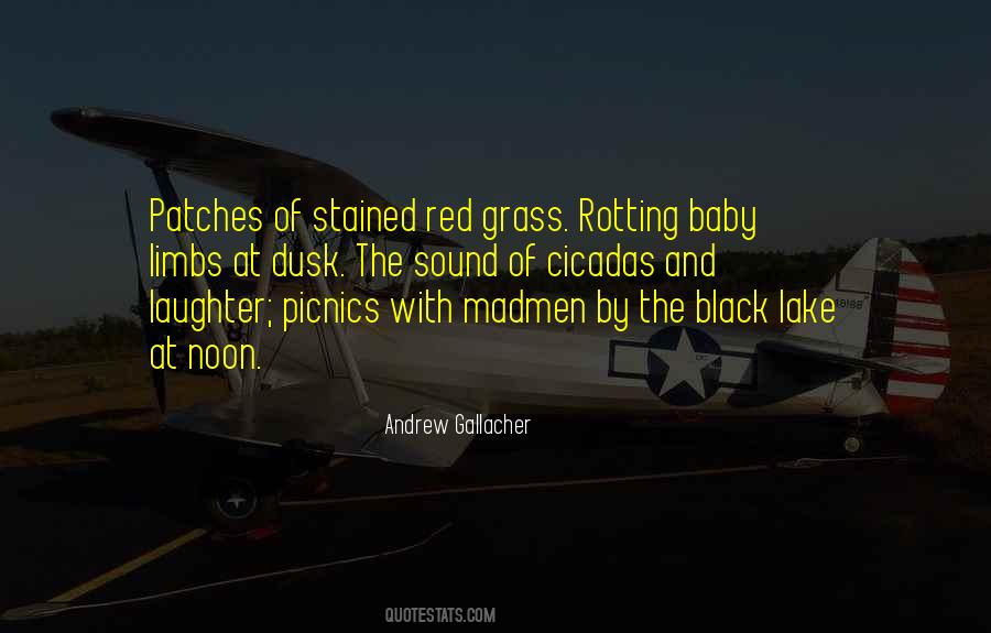 A Baby S Laughter Quotes #687523