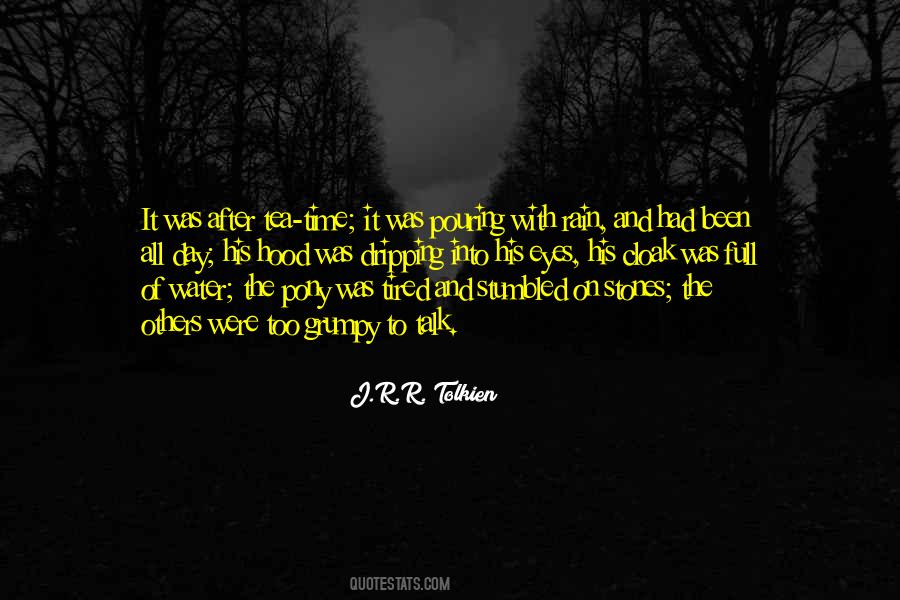 After All The Rain Quotes #1007570