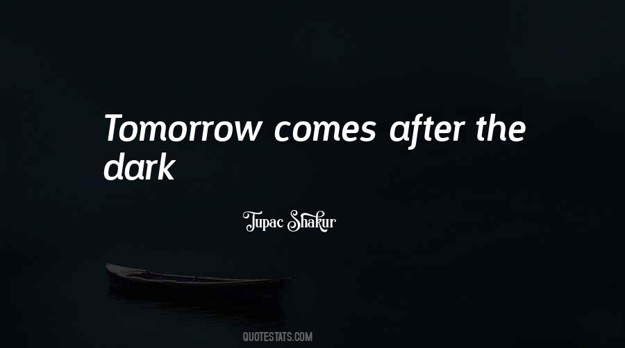 After The Dark Quotes #1710532