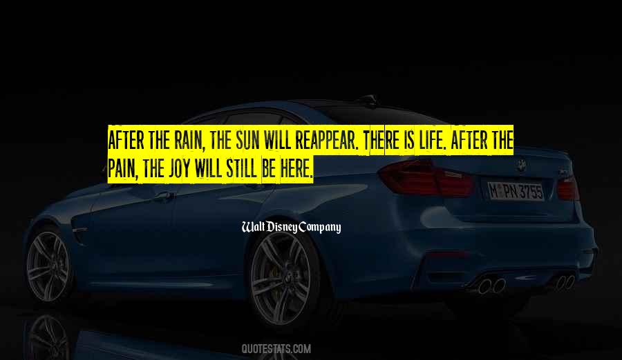 After The Pain Quotes #1472185