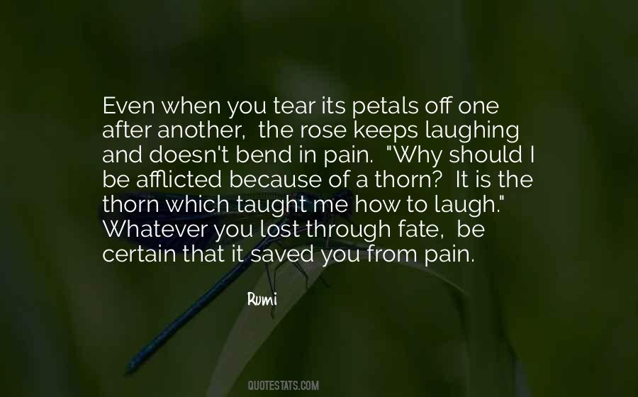 After The Pain Quotes #346452