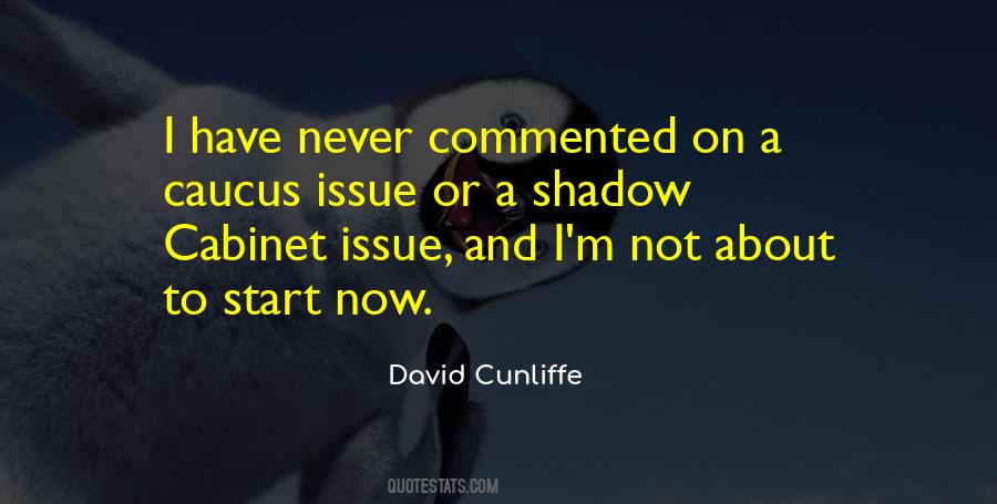 Shadow Cabinet Quotes #479299