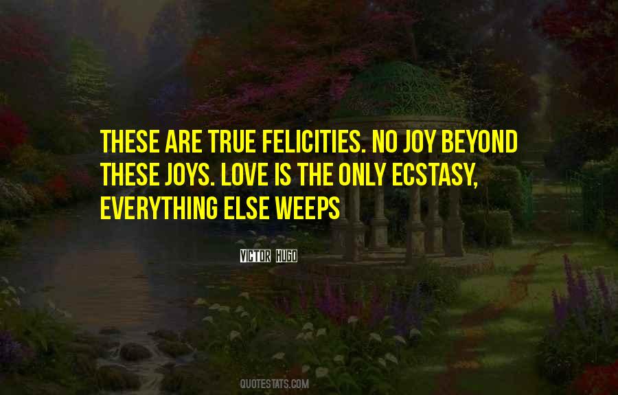 Ecstasy Love Quotes #136117