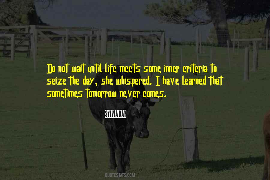 Until The Day Comes Quotes #969396