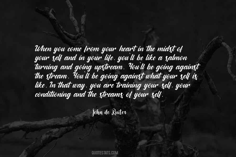 Against The Stream Quotes #289653