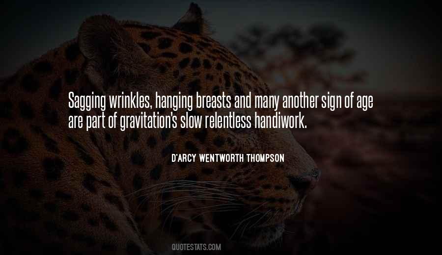 Age And Wrinkles Quotes #1775216
