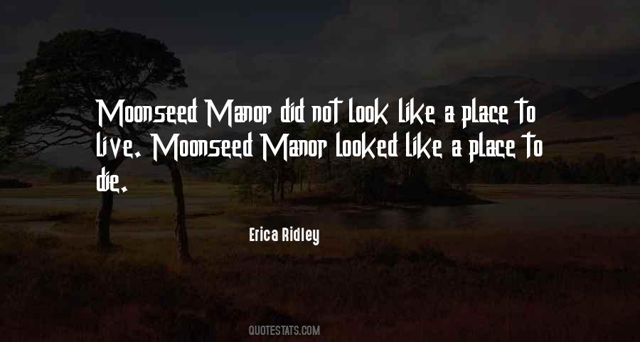 Cozy Mystery Romance Quotes #874719