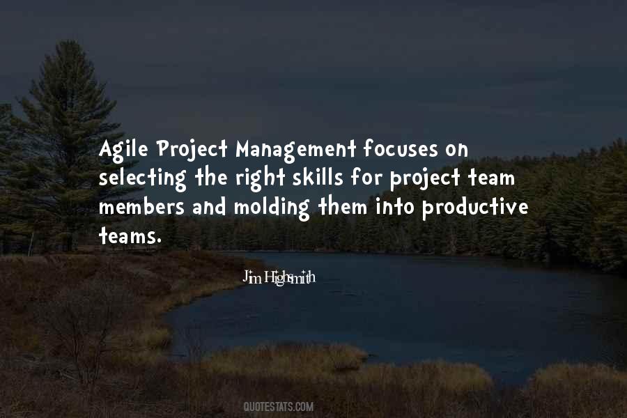 Agile Team Quotes #396680