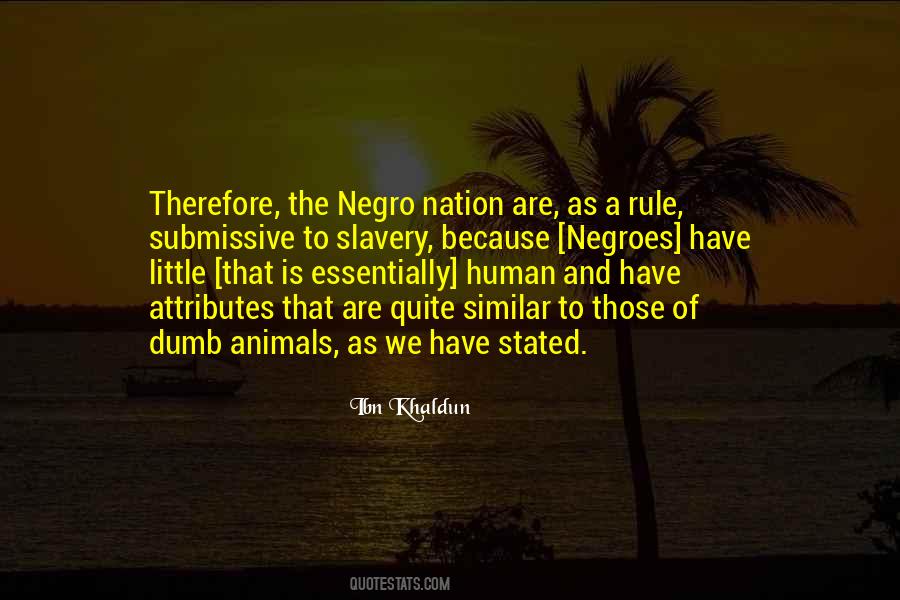 Quotes About Negroes #48503