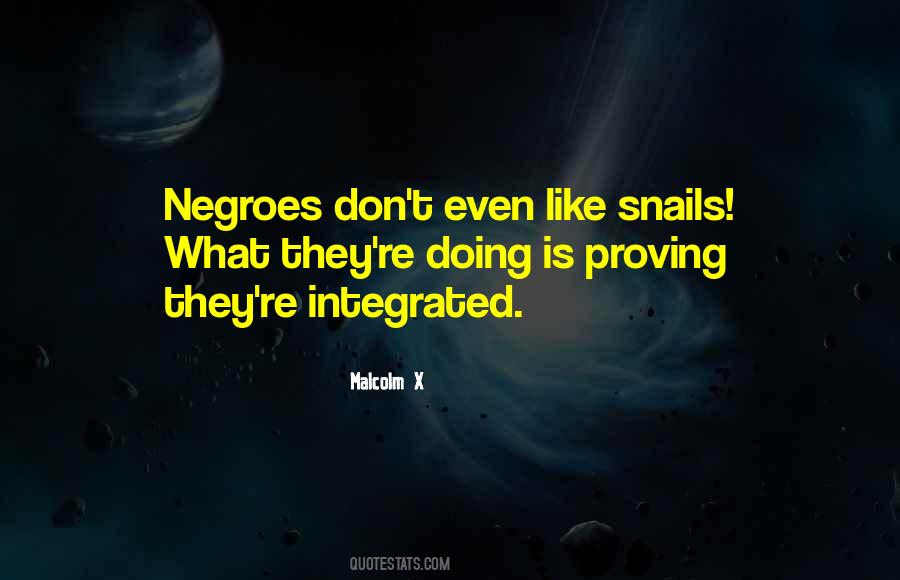 Quotes About Negroes #944529