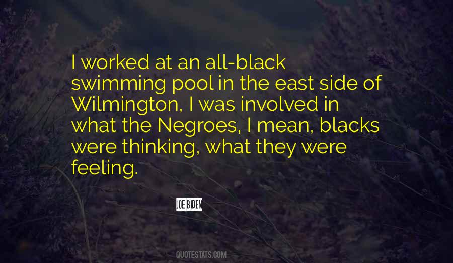 Quotes About Negroes #94507