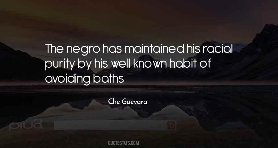 Quotes About Negro #1409455