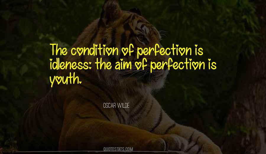 Aim For Perfection Quotes #446460