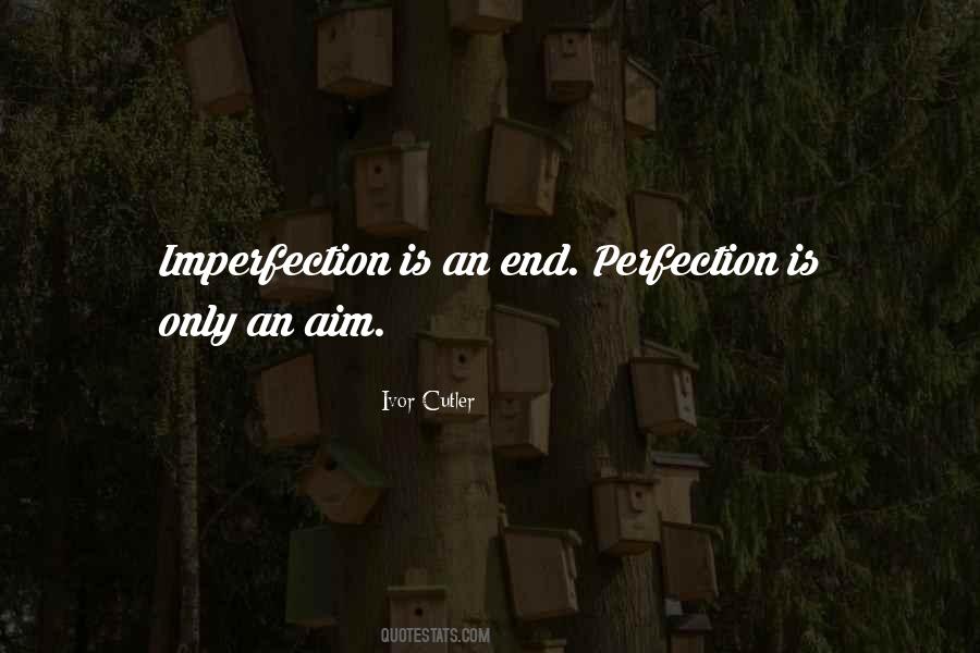Aim For Perfection Quotes #908835