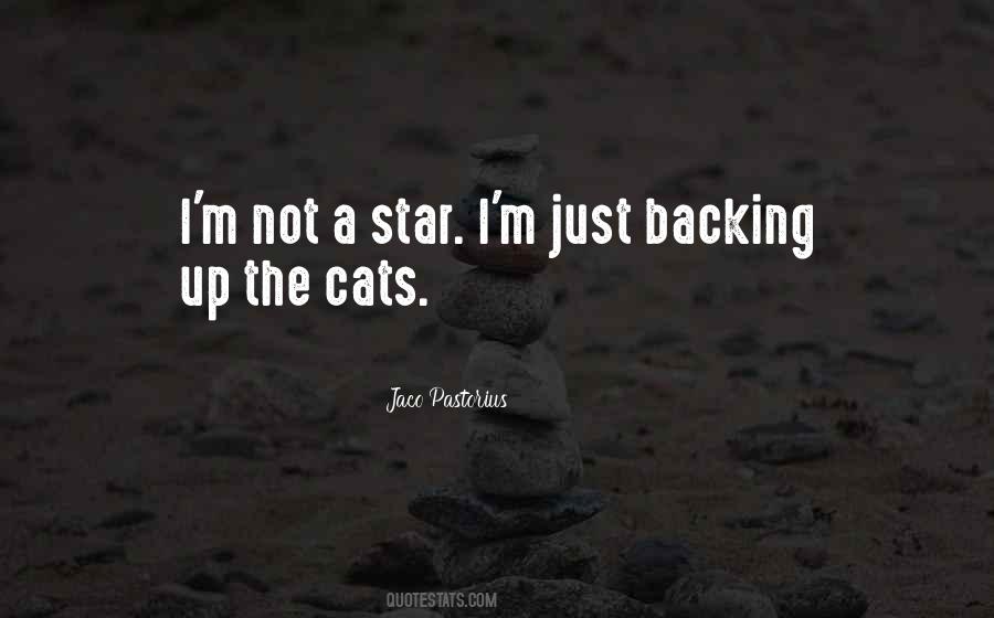 Not A Star Quotes #1797722