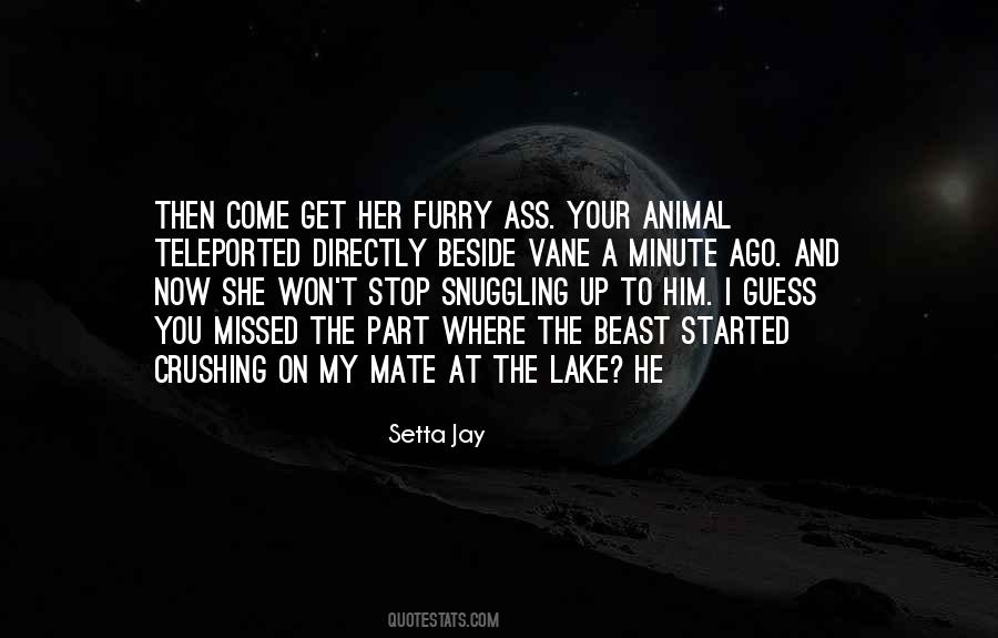 Amita Quotes #1604745