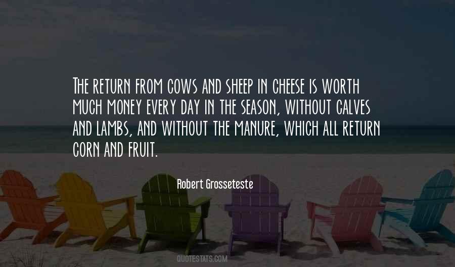 Sheep In Quotes #1027730